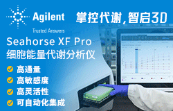 Seahorse XF Pro ������x�z�y�����x