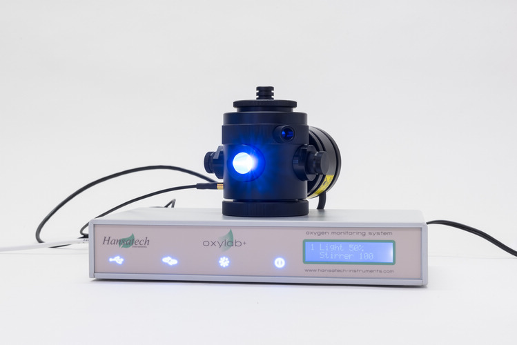 Chlorolab2+Һ����늘O