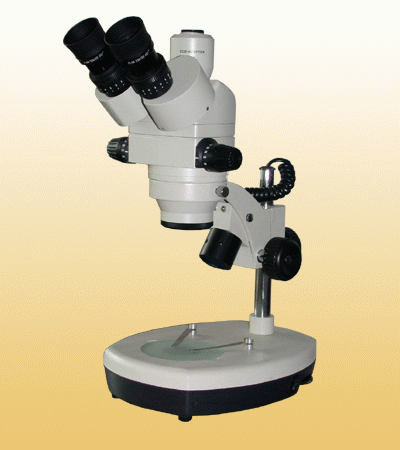 ��Ŀ�B�m(x��)׃���wҕ�@΢�R