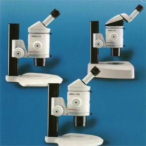 ���ƿ� ���w�@���R MZϵ��