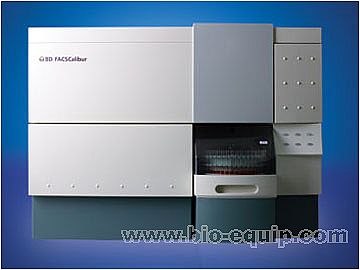 ��ʽ�����x