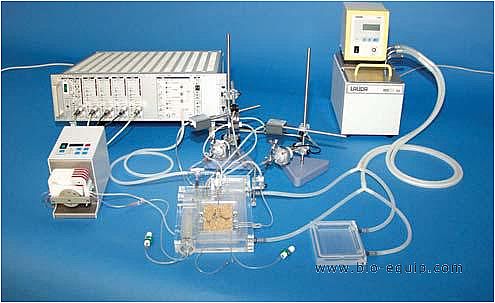 �x�w��/����Ƭ��עϵ�y(t��ng)