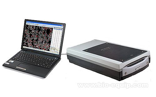 �������^Ʒ�|(zh��)�z�y(c��)�x���|(zh��)�ж��x����Ʒ�|(zh��)����