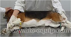 ��(d��ng)����늈D����ϵ�y(t��ng)