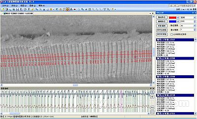 多功能活體葉面積儀、根系分析儀/年輪/瓜果