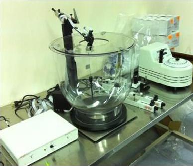 ����(gu��)BASI��(d��ng)��΢͸��