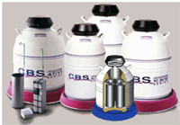 ����CBSҺ����