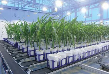 WIWAMֲ����ͳ������ƽ�_