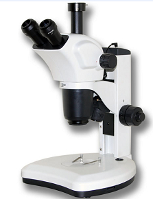 ��Ŀ�B�m(x��)׃���wҕ�@΢�R�����@΢�R