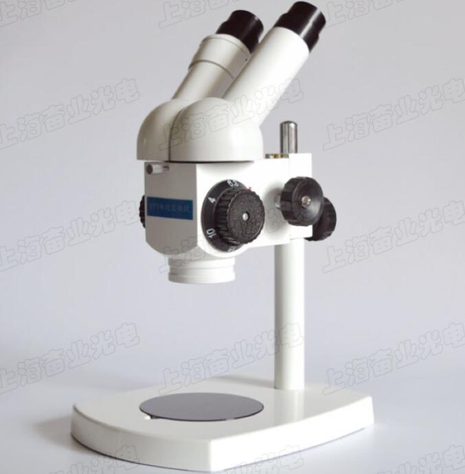 100�� XTT�wҕ�@΢�R