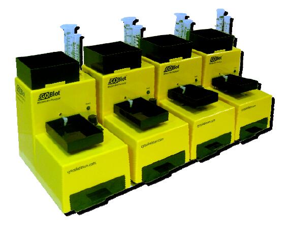 ����ӡ�E�Ԅӷ����C