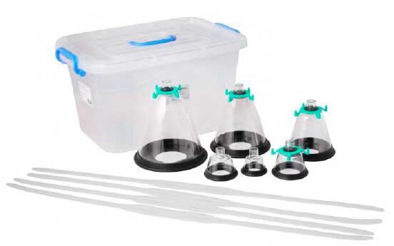 ���ֵ�Ȯ؈����