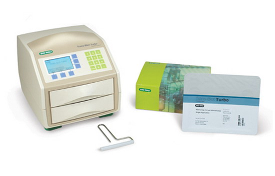 ��������ȫ���͵����Dӡϵ�y(t��ng)1704150