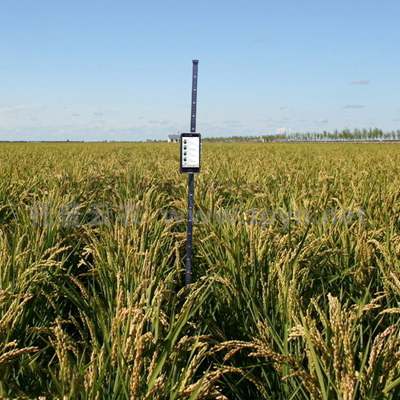 作物株高測量儀-作物株高快速測量儀