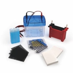 С���D(zhu��n)ӡ��