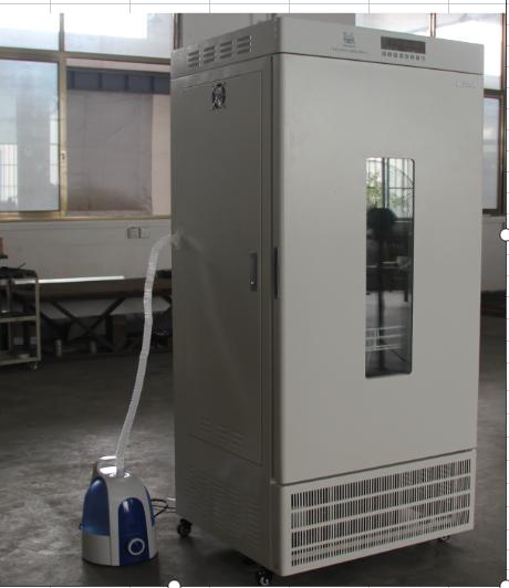 ���齭�ƣ�ù�����B(y��ng)��