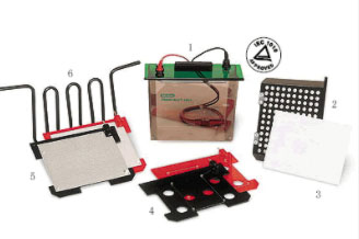 Bio-rad����Trans-Blot ���͝�ʽ�Dӡ��