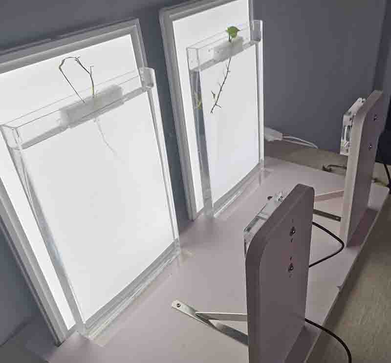 萬深RootGA根系動(dòng)態(tài)生長監(jiān)測(cè)分析系統(tǒng)