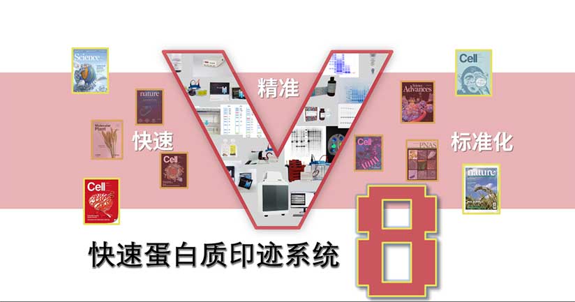 Tanon V8 ���ٵ����|(zh��)ӡ�Eϵ�y(t��ng)