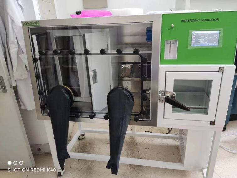 ���a(ch��n)�������B(y��ng)��