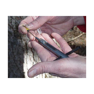 Trephor΢�͘�ľ���L�F