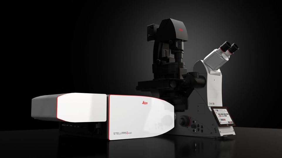 STELLARIS Cryo ���۽���W�@΢�R