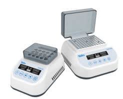 ����ӟ������ؽ���ԡ