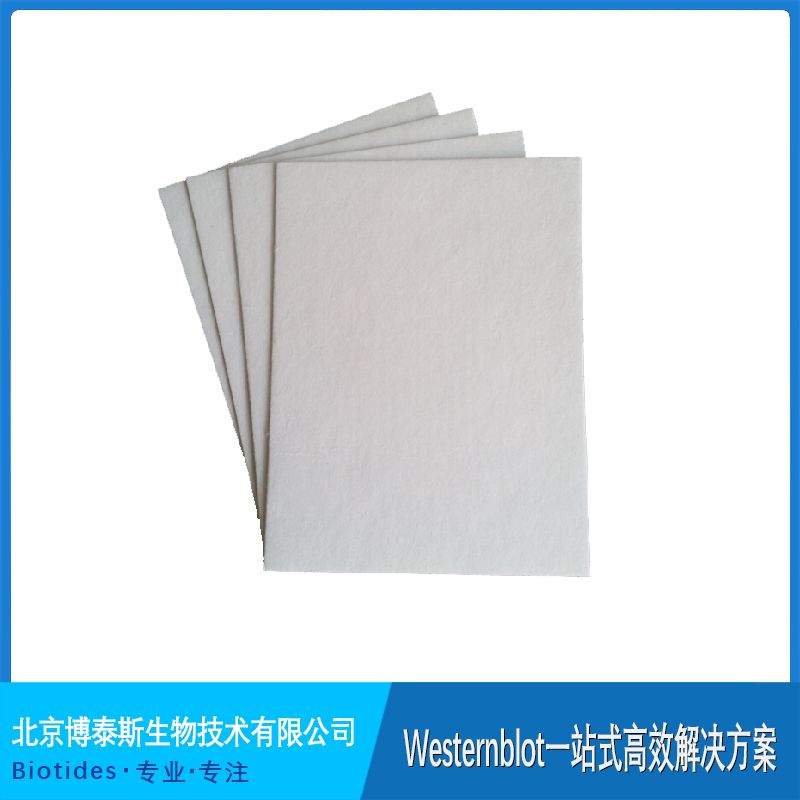 �������D(zhu��n)ӡ�V�������������1703932