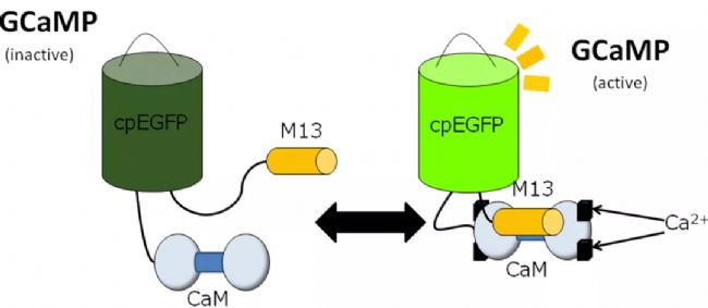 ���wӛ�Ԕ����һ�Ď���Ԕ���˽���wӛ䛌��