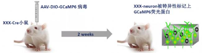 ���wӛ�Ԕ����һ�Ď���Ԕ���˽���wӛ䛌��