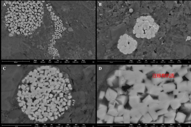 用離子研磨儀對樣品進行氬離子拋光后使用臺式掃描電鏡觀察到頁巖中的不同黃鐵礦晶體