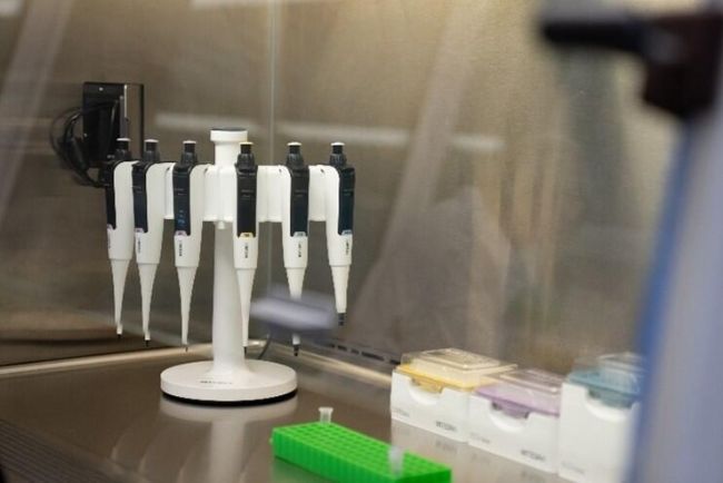 ���ڳ��������_(t��i)�е�Flex���֧���ϴ����6֧SWITCH���(d��ng)����Һ����